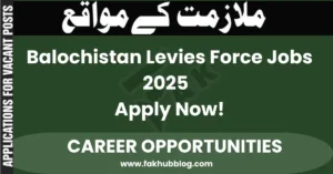 Balochistan Levies Force Jobs 2025